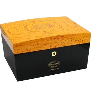 Partagas Classic Global Brand Humidor 30-50 Cigars